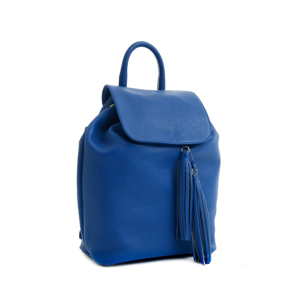 Carbotti Blue Backpack